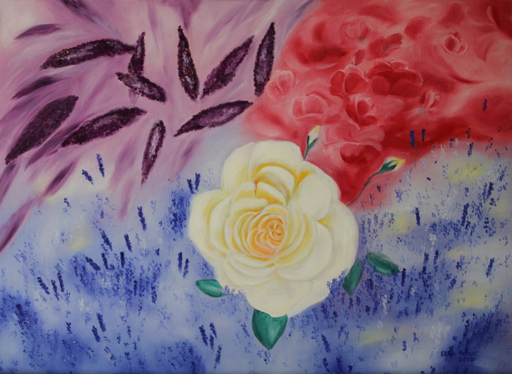 Die weiße Rose 50 x 70 cm